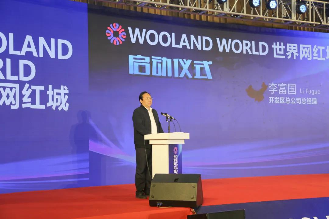 Cultivation of New Dynamics, Development of New Industries, WoolandWorld World Online Star Town in Wuqing Development Zone Officially Launched(图4)