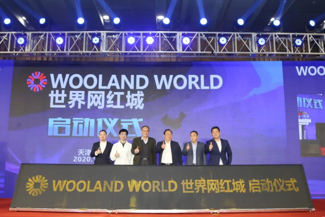 Cultivation of New Dynamics, Development of New Industries, WoolandWorld World Online Star Town in Wuqing Development Zone Officially Launched(图2)