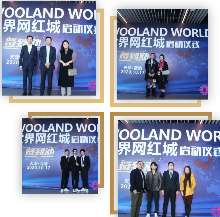 Cultivation of New Dynamics, Development of New Industries, WoolandWorld World Online Star Town in Wuqing Development Zone Officially Launched(图3)