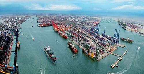 新年第一天 天津港人干劲足(图1)