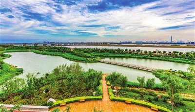 我市全面完成渤海综合治理攻坚战各项目标任务(图1)