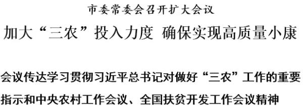 市委常委会召开扩大会议 加大“三农”投入力度 确保实现高质量小康(图1)