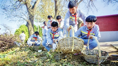 我市面向社会遴选一批劳动教育实践基地(图1)