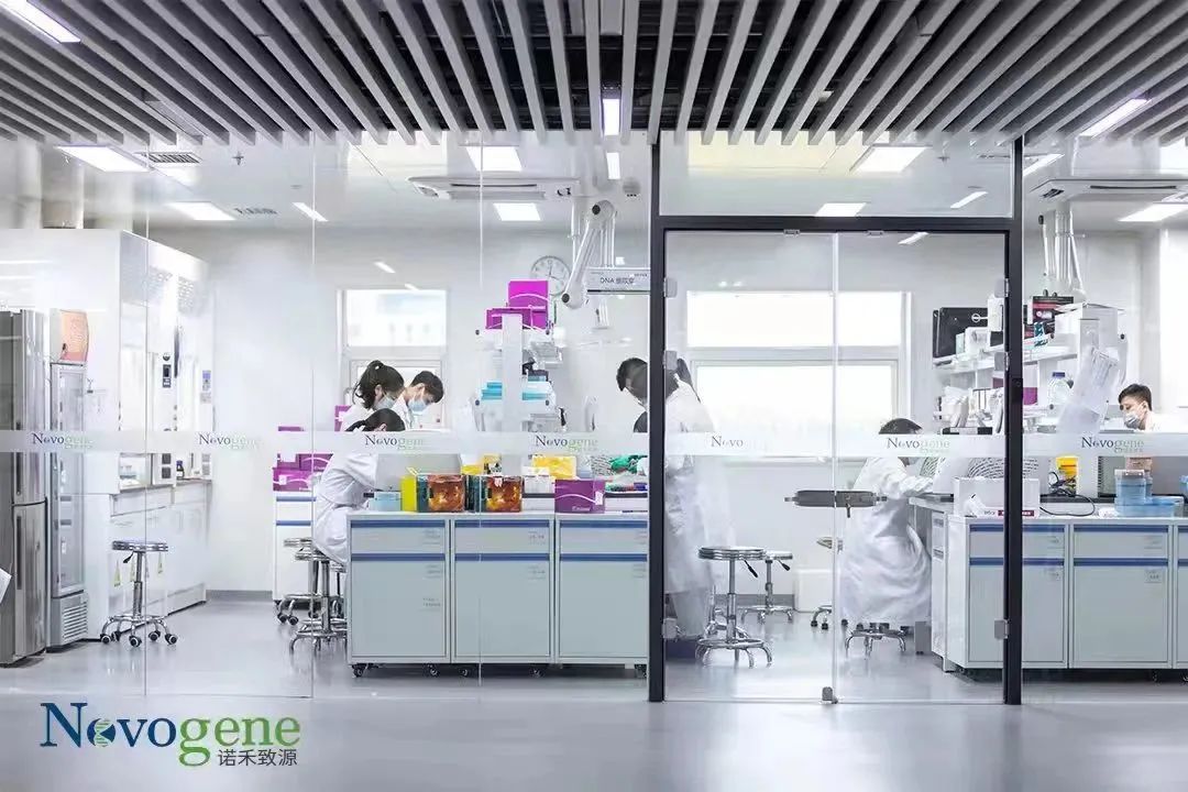 稳经济 | 武清政企“同船划桨” 奔赴“星辰大海”(图1)