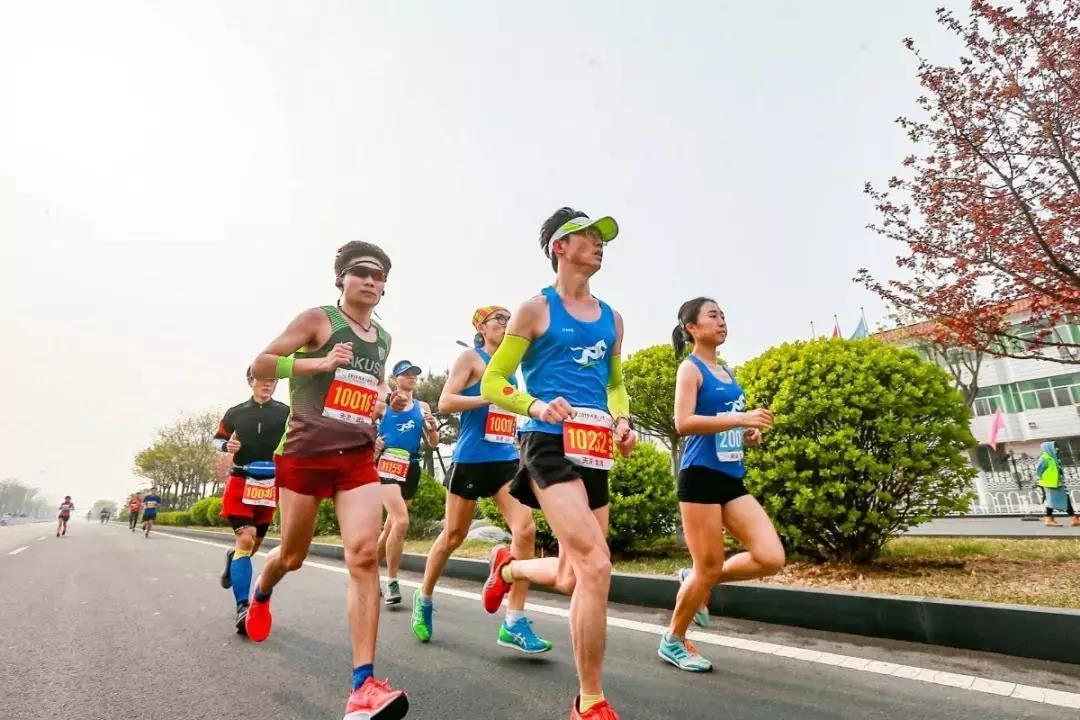 2019天津（武清）马拉松精彩开跑 赛道沿用开发区福源道(图3)