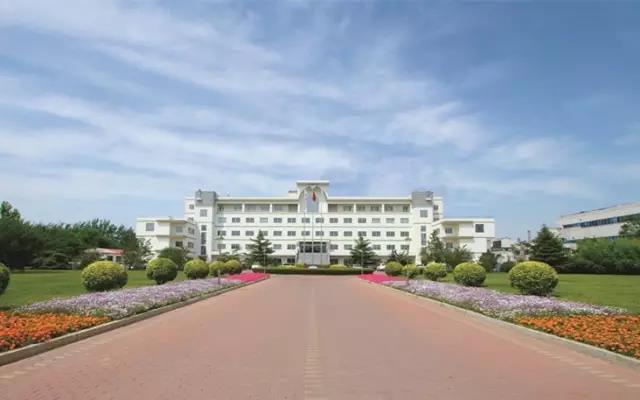 武清开发区以优质服务助力企业高质量发展(图1)