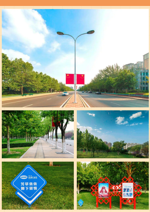 助力创城 守土有责 | 武清开发区开展环境卫生集中整治(图3)