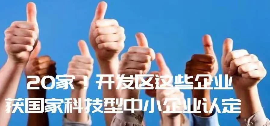 聚焦UDA | 一览八月园区发展新气象(图4)