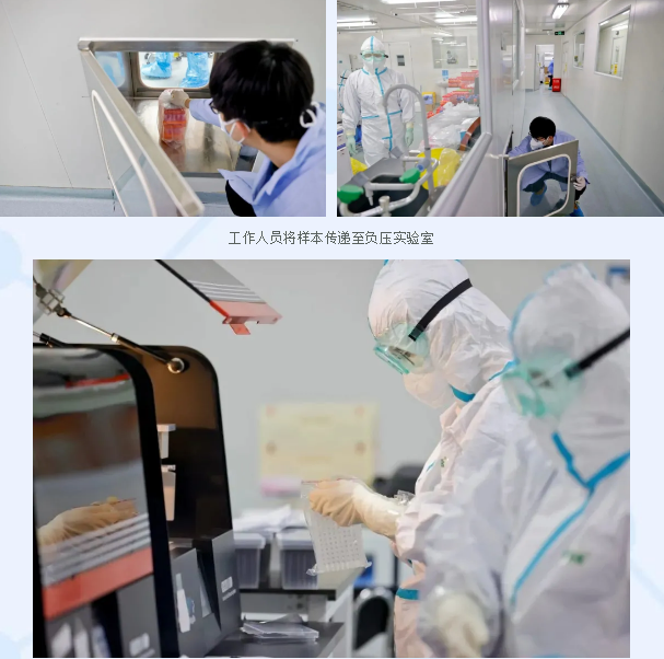 3天检测70万人次,“滨城大筛”再显诺禾速度!(图3)