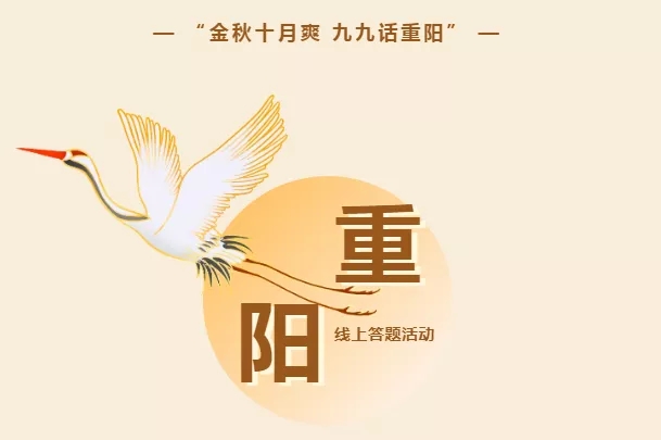 【聚焦UDA】一览园区十月工作亮点(图18)