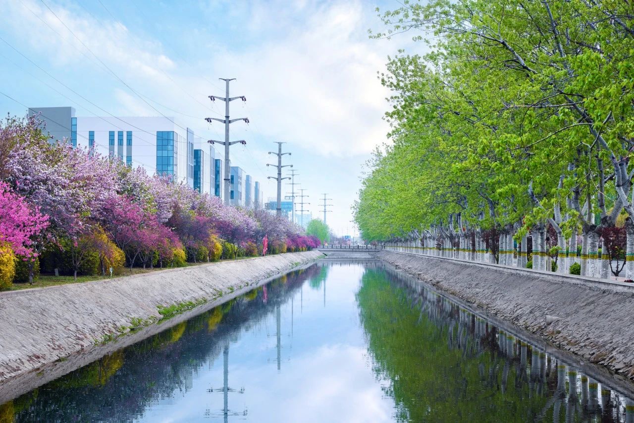 Boosting the Business Environment Further! Wuqing Development Area Continues to Advance Urban Renewal(图2)