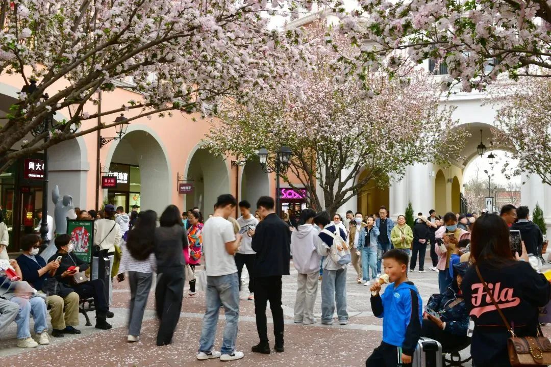 30万+！超1亿元！(图3)