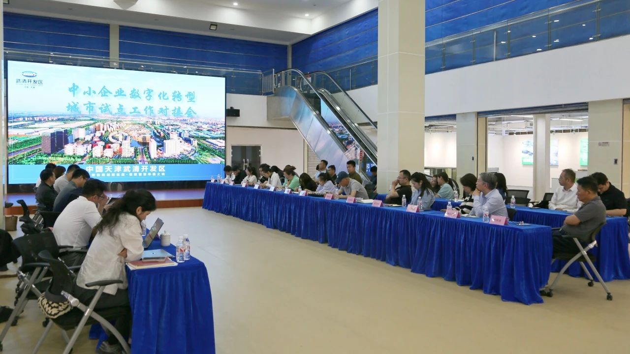 武清开发区召开中小企业数字化转型城市试点工作对接会(图3)