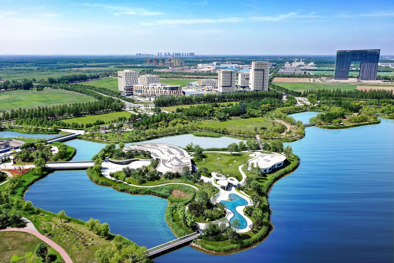 点“绿”成“金”！武清开发区高质量发展底色鲜明！(图4)