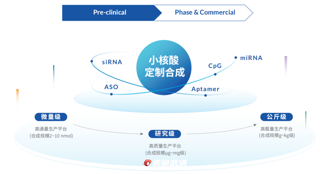 科创先行→行业领军！武清打造协同发展新标杆(图3)