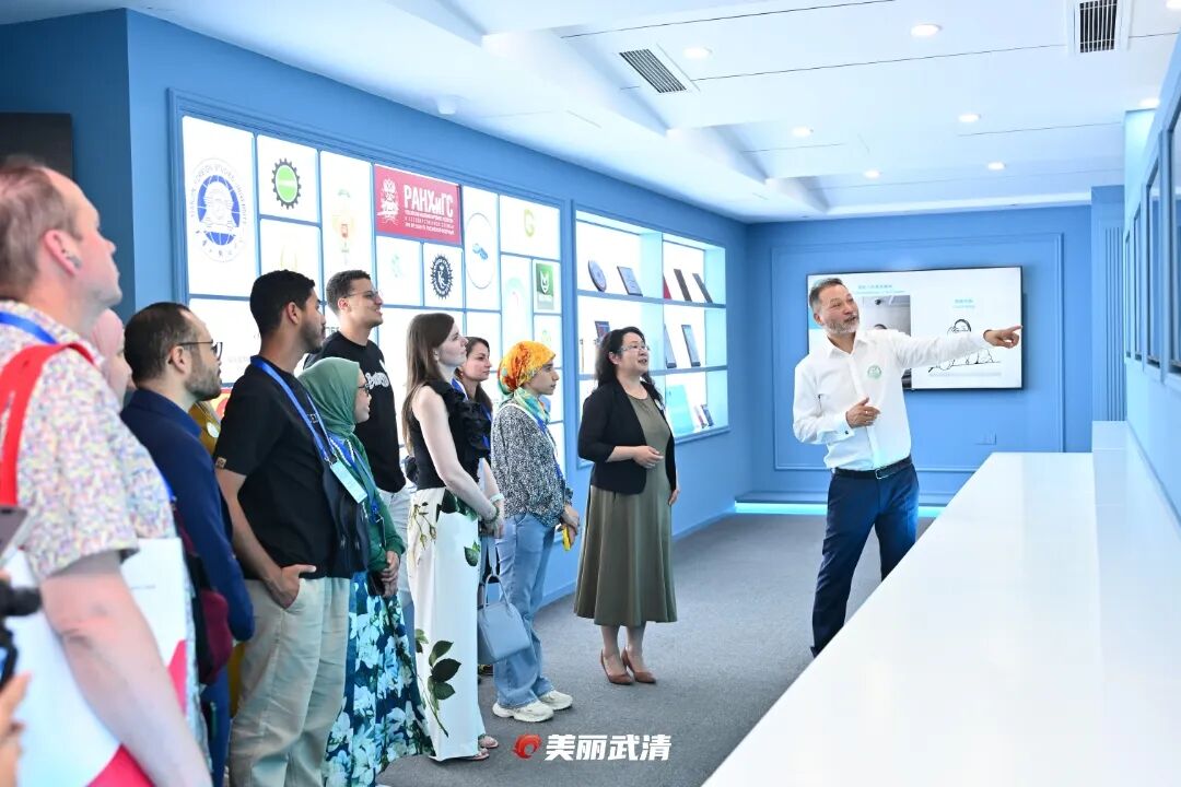 一场跨越八国的生命之约！(图1)