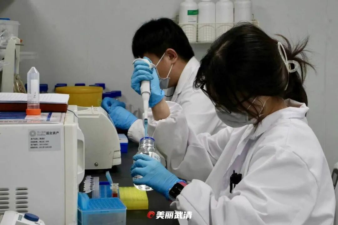 增速超200%！武清生物医药企业布局全国！(图6)